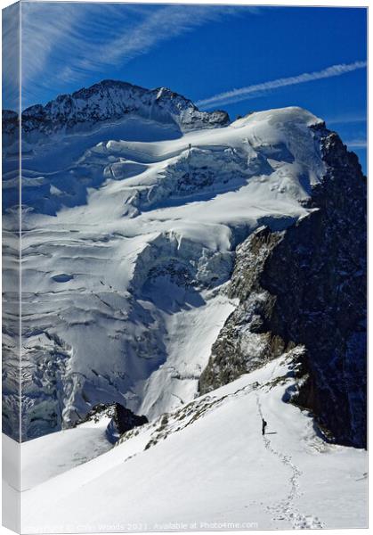 The Barre des Ecrins in the Dauphiné Alps, France Canvas Print by Colin Woods