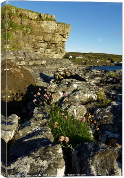 The Cliffs of Elgol Canvas Print by Colin Woods