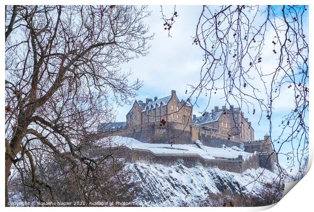 Edinburgh Castle Winter Print by Rosaline Napier