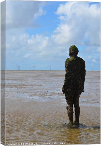 Antony Gormley another place Canvas Print by Ed Whiting