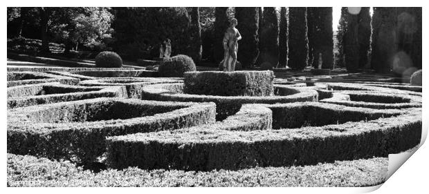 Formal Italian Garden Print by David Swayne