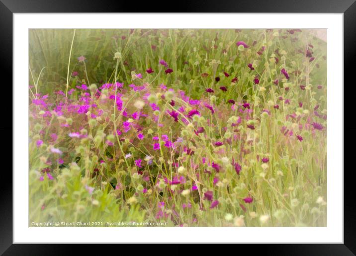 English cottage garden artwork Framed Mounted Print by Travel and Pixels 