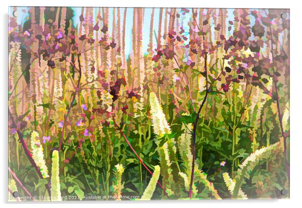 woodland flowers artwork Acrylic by Stuart Chard