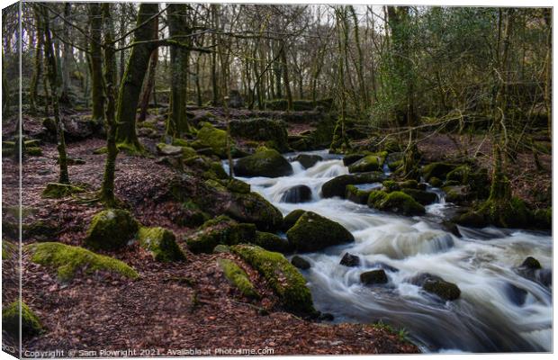 Water flow at Kennall Vale Canvas Print by Sam Plowright