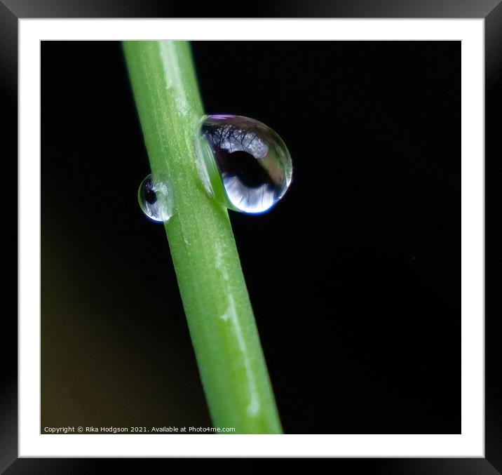 Eye in the Dark Framed Mounted Print by Rika Hodgson