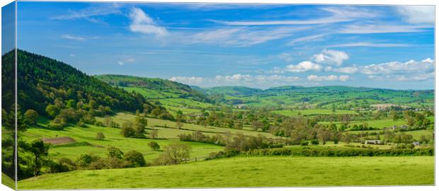 Panorama over typical english or welsh farming country Canvas Print by Steve Heap