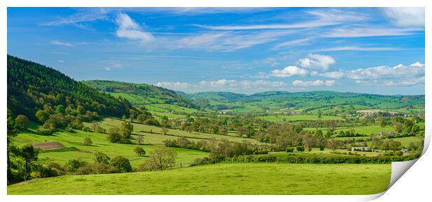 Panorama over typical english or welsh farming country Print by Steve Heap