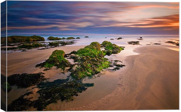 Tidal Moods Canvas Print by Mark Robson
