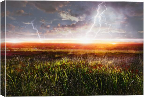 LANDS END FIELD OF LIGHTNING Canvas Print by LG Wall Art