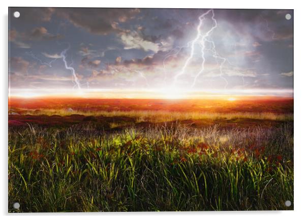 LANDS END FIELD OF LIGHTNING Acrylic by LG Wall Art