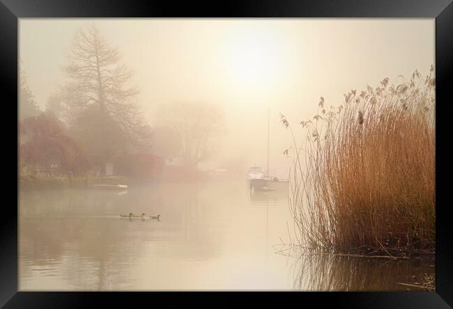 Wareham Mists Landscape Crop Framed Print by David Neighbour