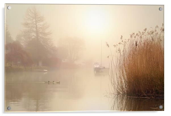 Wareham Mists Landscape Crop Acrylic by David Neighbour