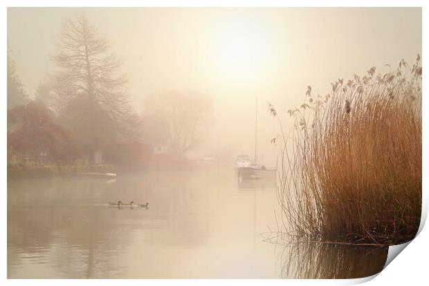Wareham Mists Landscape Crop Print by David Neighbour