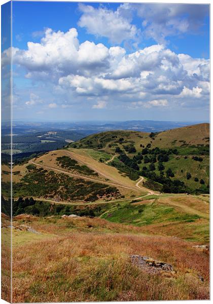 The Malvern Hills Canvas Print by Anthony Michael 