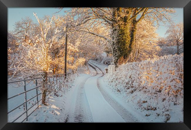 Snowy Lane Framed Print by Clive Ashton