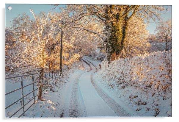 Snowy Lane Acrylic by Clive Ashton