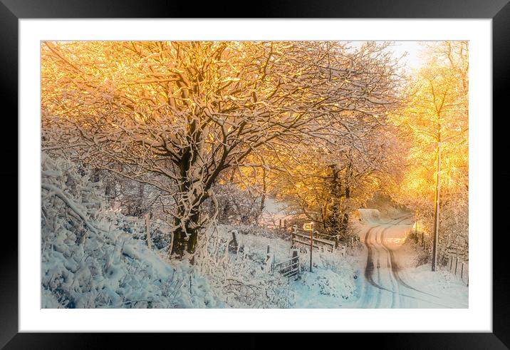Morning Glow Framed Mounted Print by Clive Ashton