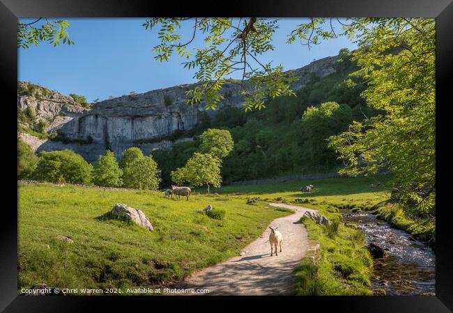 Malham Cove Yorkshire Framed Print by Chris Warren