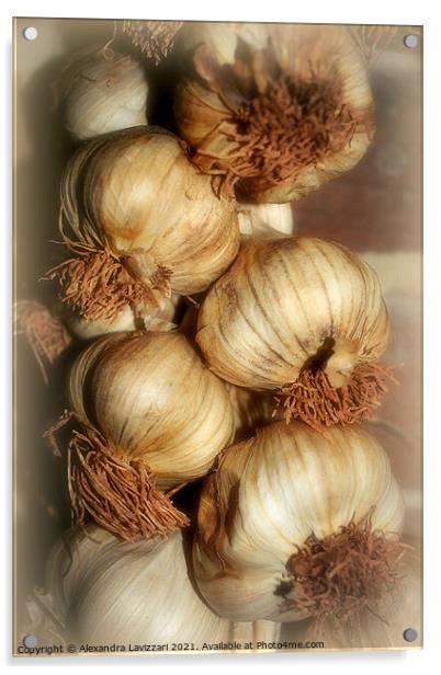 Garlic Galore Acrylic by Alexandra Lavizzari
