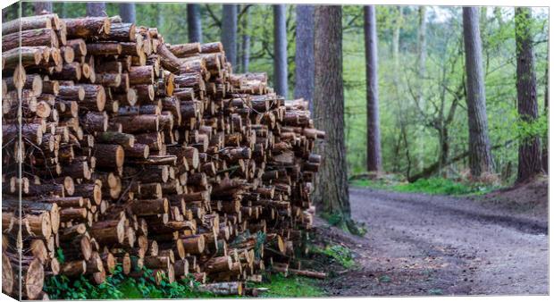 Logs piled high Canvas Print by Jason Wells