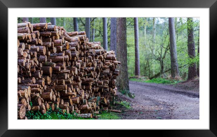 Logs piled high Framed Mounted Print by Jason Wells