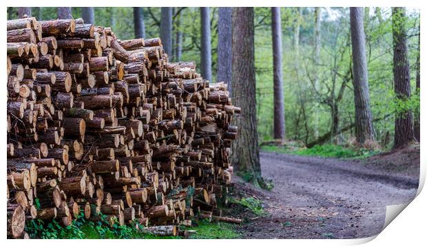 Logs piled high Print by Jason Wells