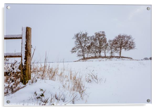 Trees in winter Acrylic by Bill Allsopp