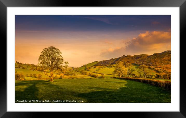 Lone tree amongst the Berwyn Mountains. Framed Mounted Print by Bill Allsopp