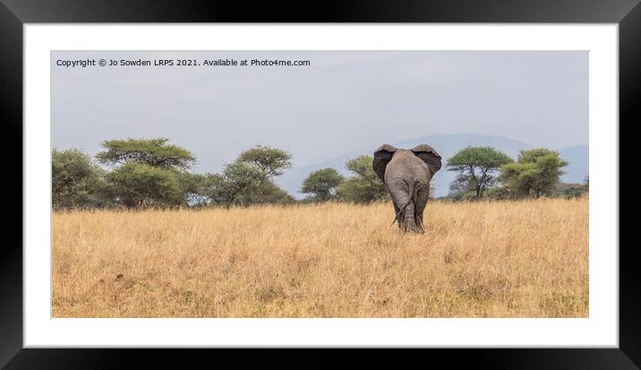 Elephant walking away Framed Mounted Print by Jo Sowden
