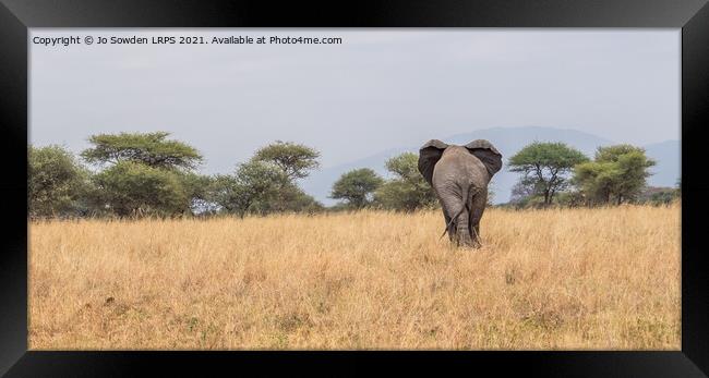Elephant walking away Framed Print by Jo Sowden