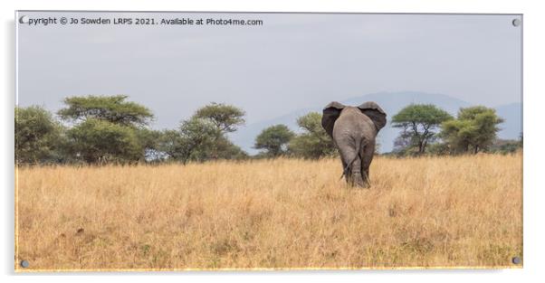 Elephant walking away Acrylic by Jo Sowden