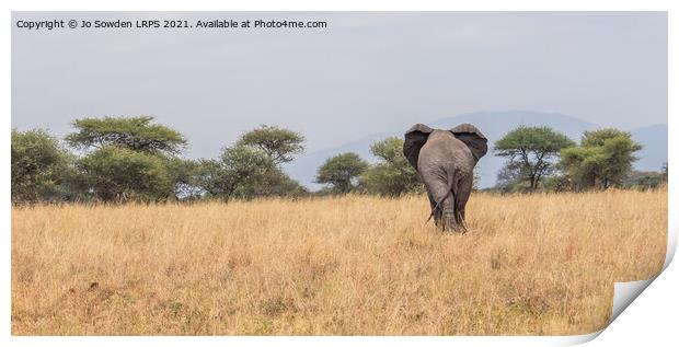Elephant walking away Print by Jo Sowden