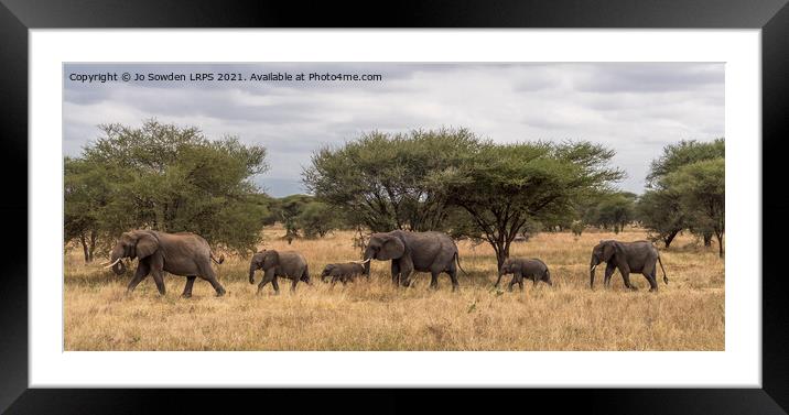 Follow the leader Framed Mounted Print by Jo Sowden