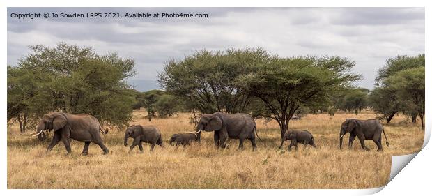 Follow the leader Print by Jo Sowden