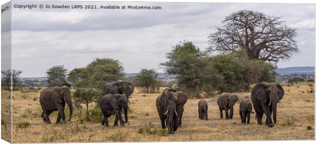Family of elephants, going for a walk Canvas Print by Jo Sowden