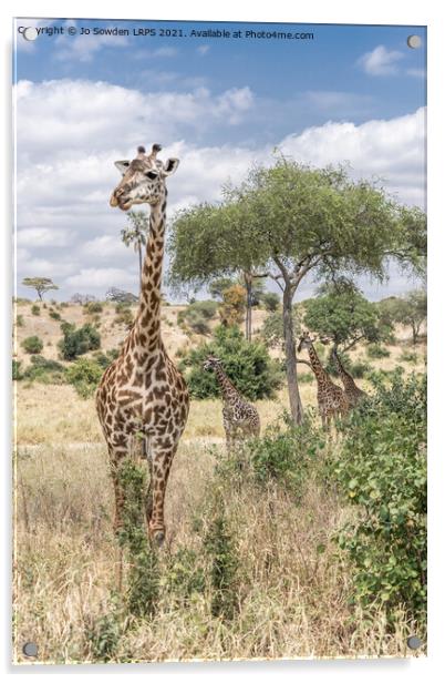 Giraffe Acrylic by Jo Sowden