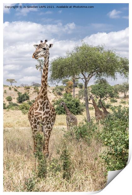 Giraffe Print by Jo Sowden