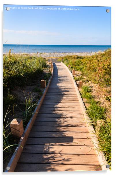 Pathway to a beach Acrylic by Pearl Bucknall