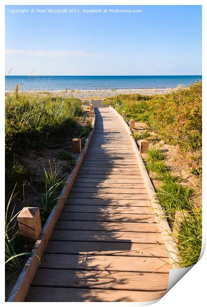Pathway to a beach Print by Pearl Bucknall