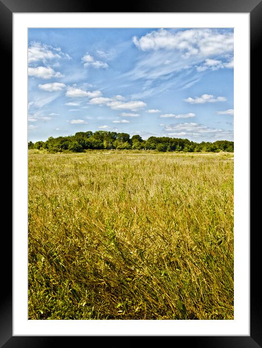 A field of hay at Bradwell, Essex, UK. Framed Mounted Print by Peter Bolton