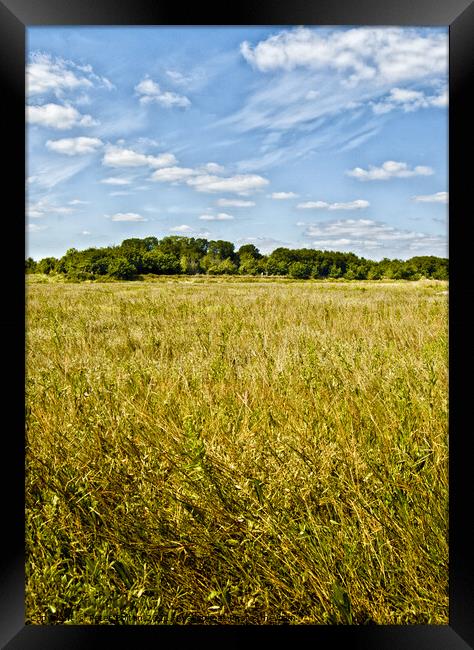 A field of hay at Bradwell, Essex, UK. Framed Print by Peter Bolton