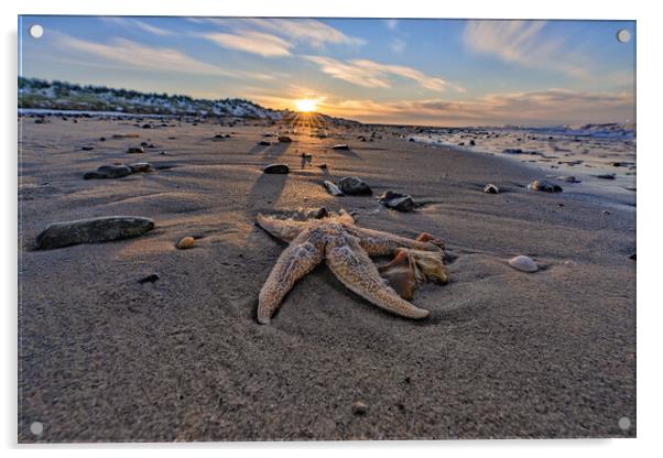 Sunset on Holme beach in Norfolk  Acrylic by Gary Pearson