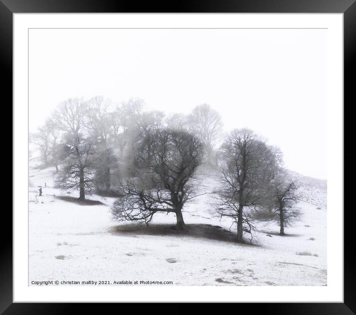 Snowfall on trees Framed Mounted Print by christian maltby