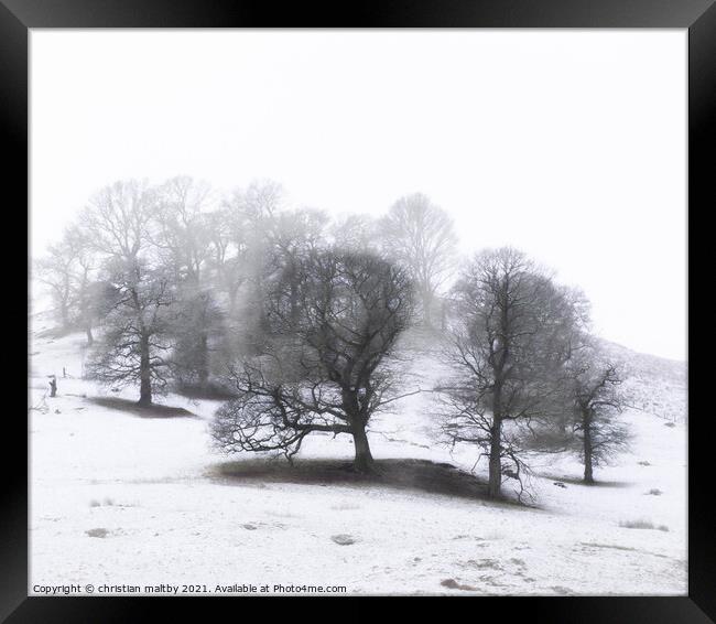 Snowfall on trees Framed Print by christian maltby