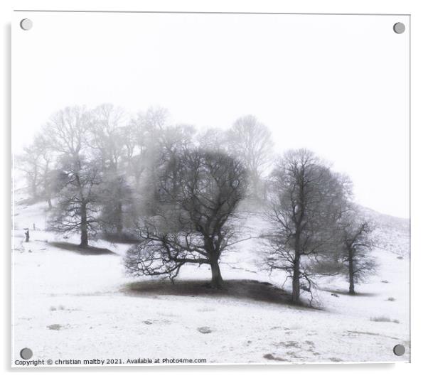 Snowfall on trees Acrylic by christian maltby