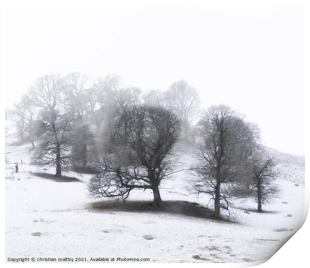 Snowfall on trees Print by christian maltby
