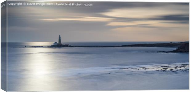 St Mary’s Lighthouse Canvas Print by David Pringle