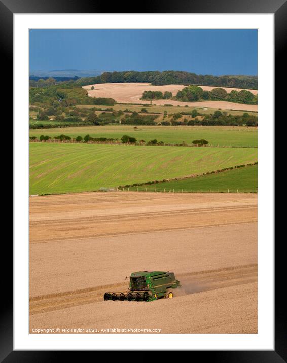 Rural Dorset  Framed Mounted Print by Nik Taylor