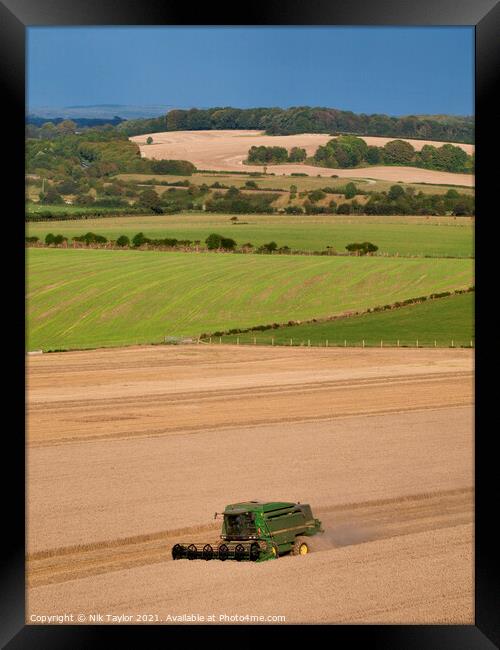 Rural Dorset  Framed Print by Nik Taylor
