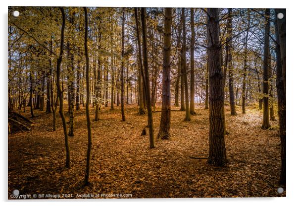 Golden woods. Acrylic by Bill Allsopp